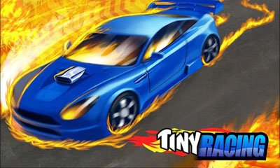 download Tiny Racing apk